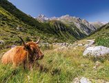 © ©TVB Pitztal / Chris Walch Breonix Foto+Design