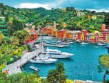 © miccolino-fotolia.com