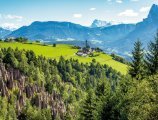 © Edler von Rabenstein - stock.adobe.com