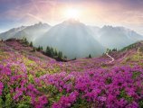 © panaramka - stock.adobe.com
